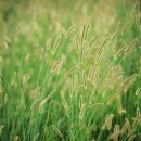 순천문학관 이미지