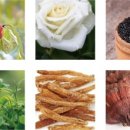 영지메디컬 이미지