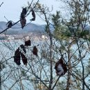 김양식농장 이미지