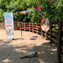 부소산성 고란사 화장실 이미지