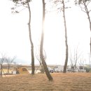 [강진생태호수공원] 정남진천문대, 하멜기념관, 보림사 탐방과 함께.. 이미지