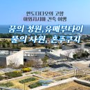 풍성한교회 | 일본 안도 다다오의 고향 아와지시마 건축 여행, 유메부타이, 혼푸쿠지,바다의 교회 방문 후기