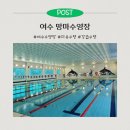 진남체육공원 | 여수망마수영장ㅣ자유수영 시간, 강습수영