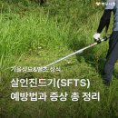 가을 성묘·벌초 상식! 살인진드기(SFTS) 물림 예방법과 증상 총 정리 이미지