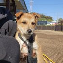 본오모터스 이미지