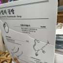 노원구 경춘선 공릉숲길 커피축제 다녀온 후기