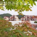 비단골관광농원 이미지