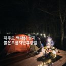 붉은오름자연휴양림 야영장 제주도 캠핑 백패킹 성지 후기