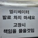 메타이스케이프