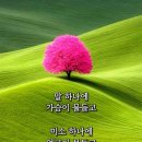 남구-056 티스토리