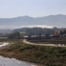 청춘 양구 시래기사과축제(2024.11.3) 이미지