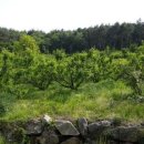 늘햇살농원 이미지