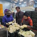 평창농협 APC 이미지