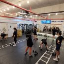 키즈영어복싱pls 이미지