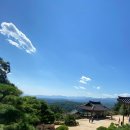 유명림행정사사무소 이미지