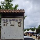 고성농장 | [강원 고성 여행] 하늬라벤더팜, 보랏빛에 물든 하루 — 실제 방문 후기 (입장료·주차·팁 총정리)