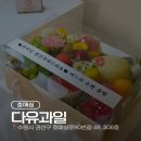 빵꾸똥꾸문구야 수원호매실점 | 수원 호매실 과일바구니 선물 추천✨ 다유과일 호매실 시어머님 생신선물 성공 후기