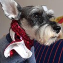 러브웨이 이미지