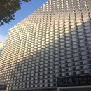 윤숙자축사 | [건강한食원정대 5기]해단식 후기 @시화담 비스트로