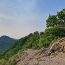 2021-주165 이미지