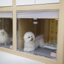 옐레드 부천 신중동점 이미지