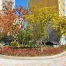 마린부동산중개사무소 이미지