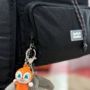 뽑고가리 이미지