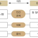 안도환 만언사 이미지