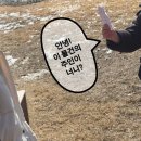 동화책 연극 놀이 이미지