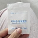 제일동물병원.수정소 | 신도림 다나은동물병원 - 고양이 건강검진, 스케일링 내돈내산 후기