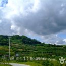 동국관광주