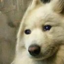 용계축산 이미지