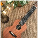 기타렐레(통기타) 이미지