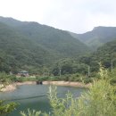 용호상사