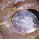 경북안경원 이미지