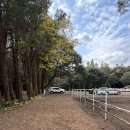 대한목장 | 제주 서귀포 목장카페 '대한목장' 내돈내산 후기