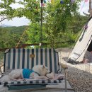 큰누나네집 이미지