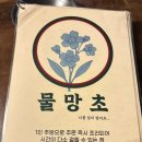 물망초 | 전주 술집 추천 | 물망초 | 골목 숨어있는 분위기 맛집, 파린기에 크림탕까지 내돈내산 후기