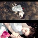 세형