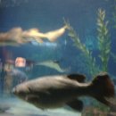 주천모텔 이미지