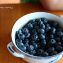 나무네농장 이미지