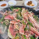 신기촌활어회 이미지