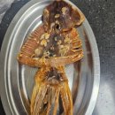 신선식품 | 경북 다자녀 농수산물 지원 후기｜5만원 쿠폰으로 오징어 구입 + 사이소 사용법