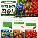 동락 Daum카페
