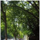 모라백양공원 이미지