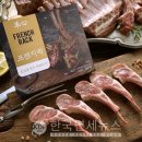 양심(羊心) 이미지