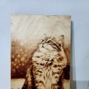 우드버닝 이미지