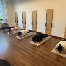 소도구를 이용한 기초 필라테스 이미지