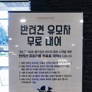Re Pet 애견샵 | 애견동반 가능한 충주 감성 숙소 켄싱턴호텔앤리조트 충주점 에서의 온전한 쉼