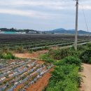 성내리경로당 이미지